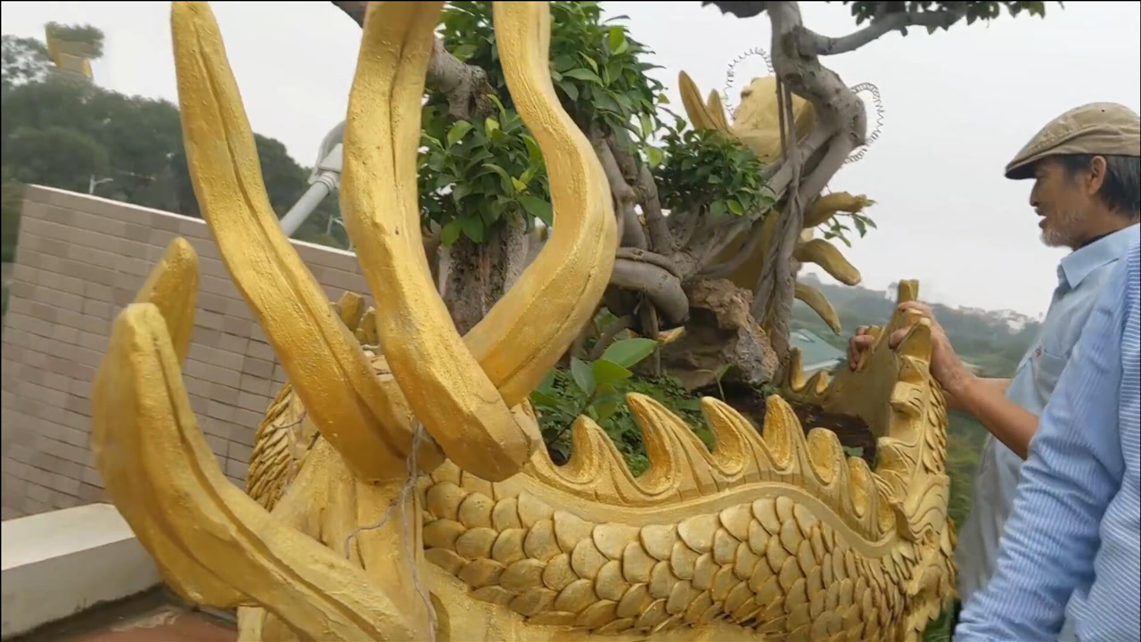 金黄色蛟龙形花盆,这盆景盆美树更美,气势磅礴价值不菲!实在赞