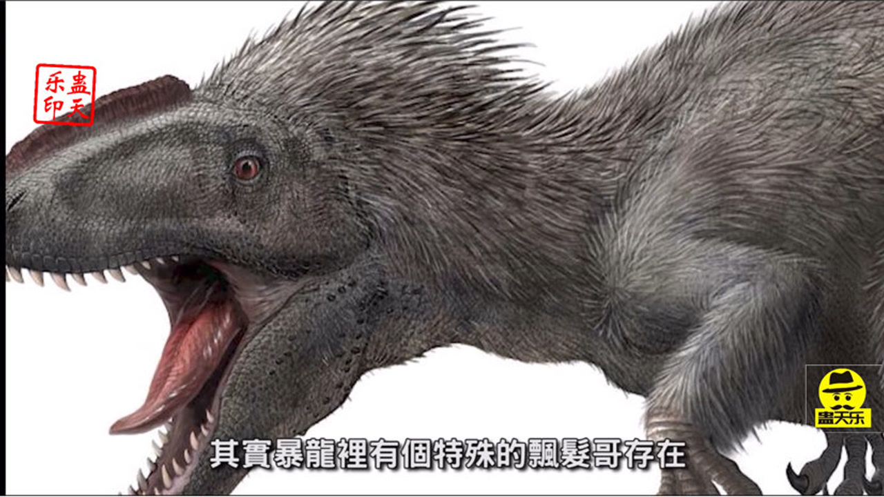 东北恐龙-飘逸哥羽暴龙