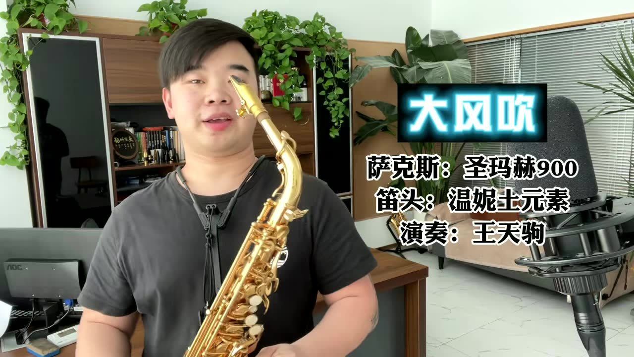 萨克斯演奏《大风吹》节奏欢快,旋律久久难忘,赶快收藏