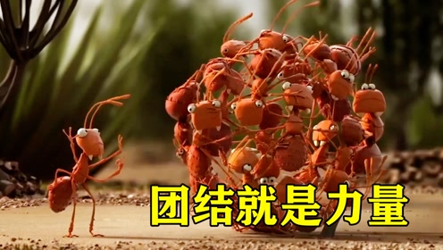 团结就是力量,小蚂蚁们为了阻挡食蚁兽,竟然合体成了一个小球#电影