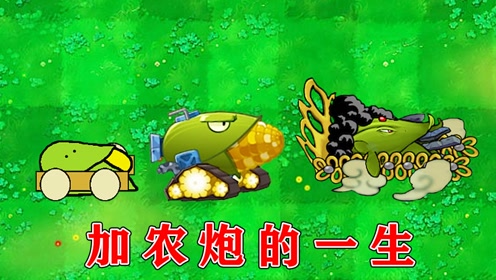 植物大战僵尸:玉米加农炮的成长史!
