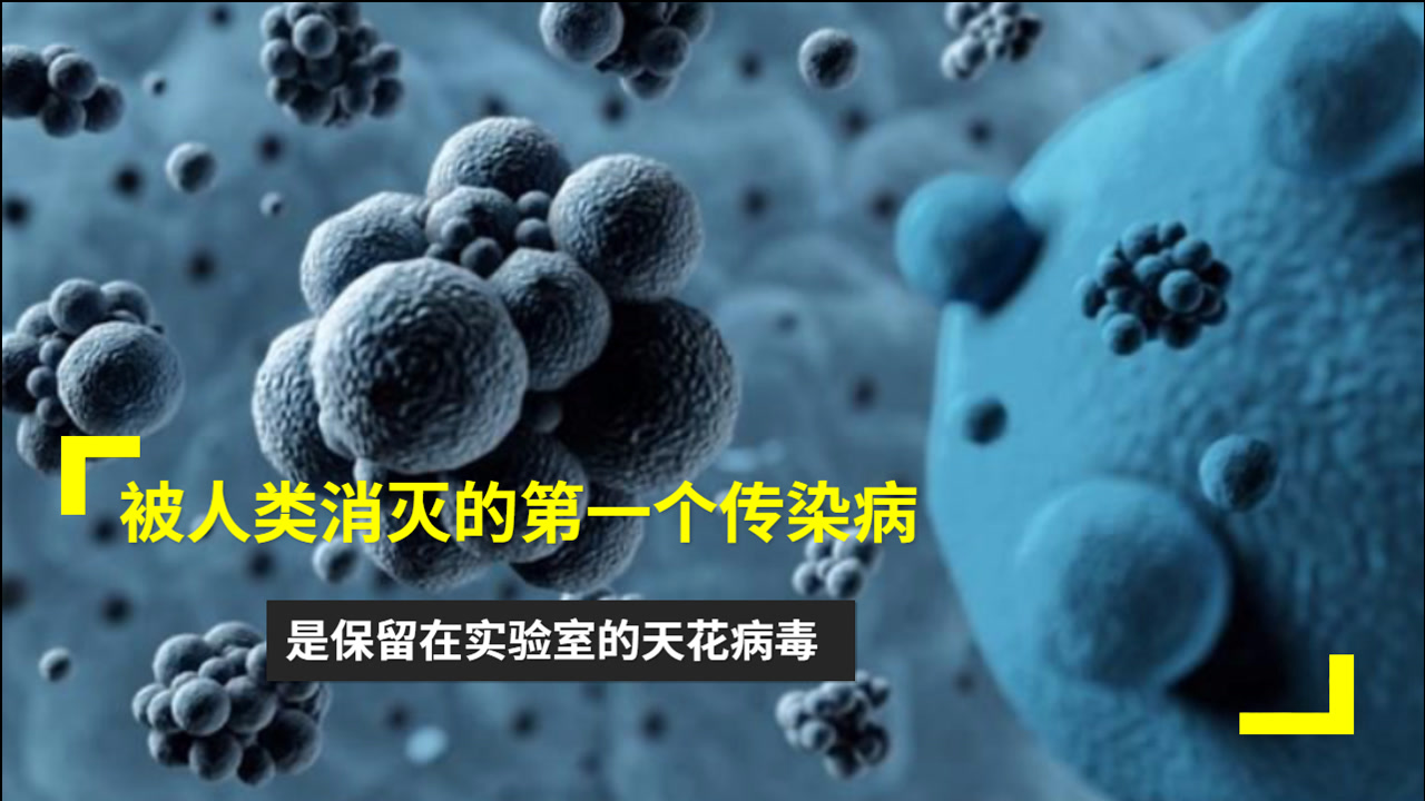 天花病毒(烈性传染病)_搜狗百科