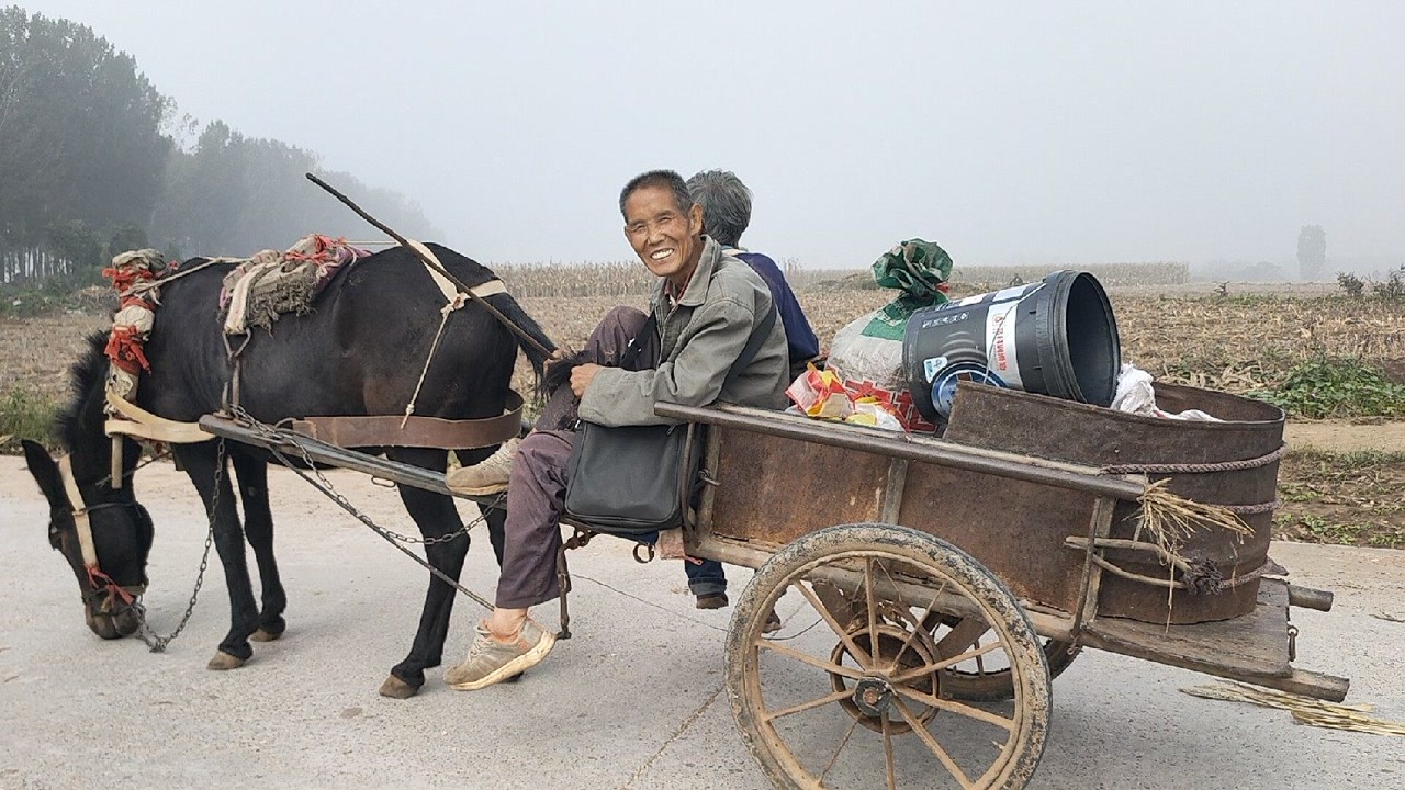 河南山里罕见的驴拉小平车,老两口开了20年,满脸幸福,知足常乐