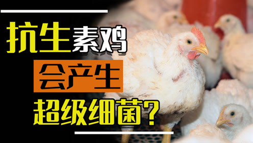 美国近百亿只抗生素鸡被食用,33天就出栏,10元一只有多大危害?