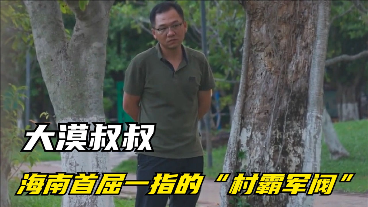 漠叔:海南首屈一指的"村霸",一线人民守卫者,真实身份成谜?