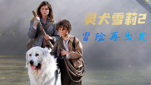 电 影:灵犬雪莉上传者:凤公子影视时 间:2021-11-22灵犬雪莉3电影精彩