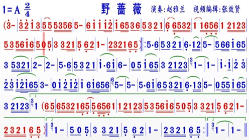 赵亚兰小提琴演奏《野蔷薇》的纯音乐彩色动态简谱