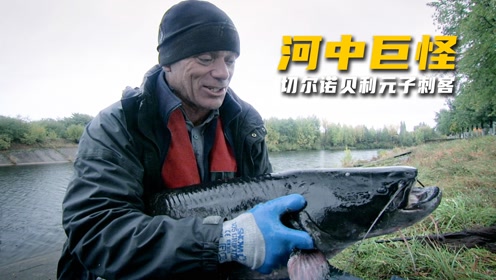 宽影幕0:04:21河中巨怪:和恐龙一样古老的水怪,却因长得像鳄鱼被人类
