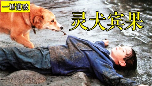 腾讯视频