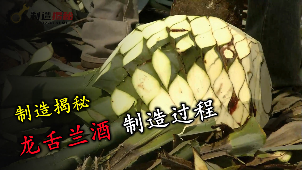 龙舌兰酒(以龙舌兰为主用料的饮品)_搜狗百科