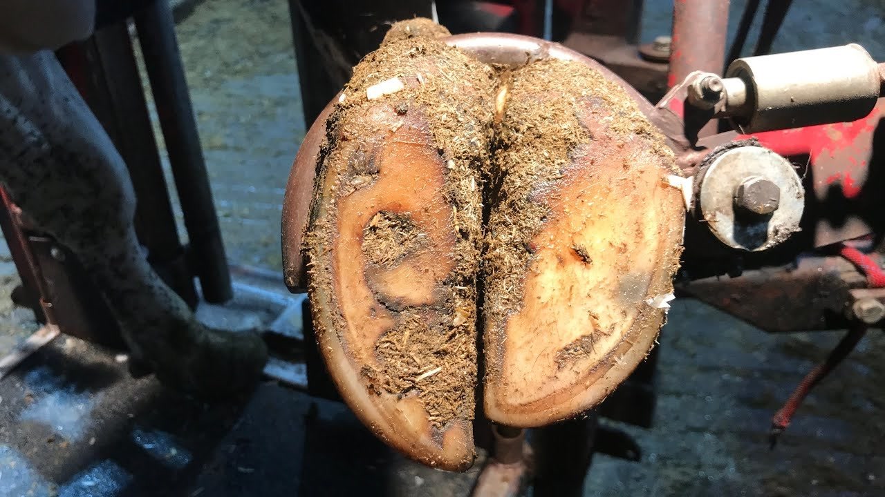 【修复牛蹄】无解说超长内容 超级解压治愈09