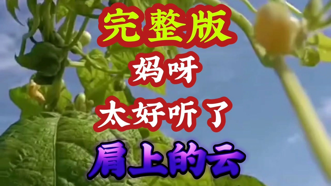 翻唱歌曲《肩上的云》妈呀美女唱的太好听了