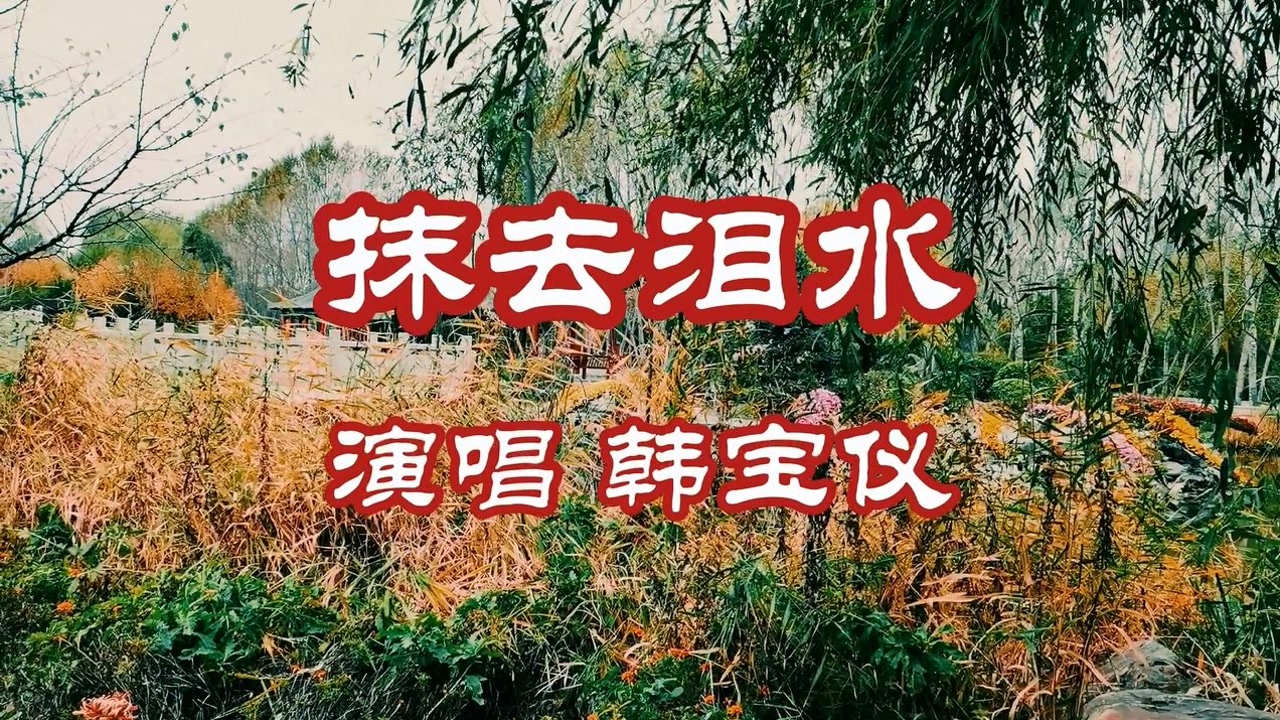 韩宝仪《抹去泪水》经典老歌,声声入耳.