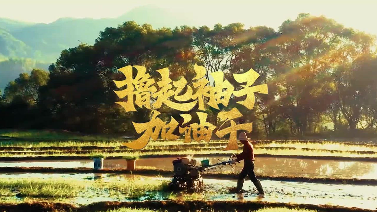 撸起袖子加油干