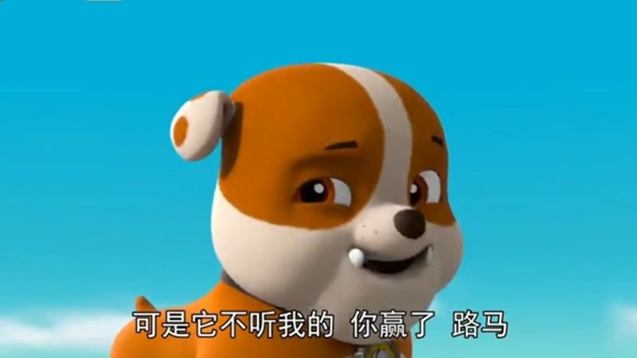 狗狗们都出来了,你知道汪汪队的狗狗们叫什么名字吗?