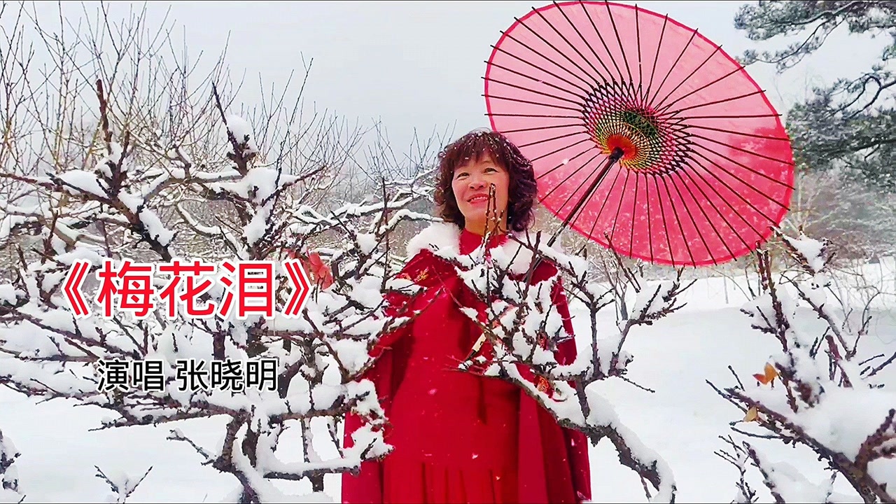张晓明-《梅花泪》,片片梅花为谁醉,几度寒来望春归!