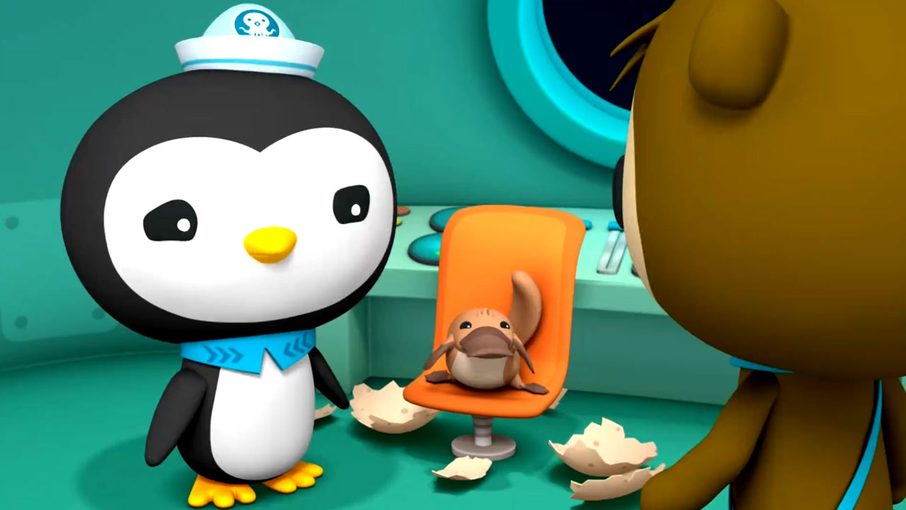 海底小纵队第三季:河水暴涨,小纵队帮助上游有麻烦的生物们