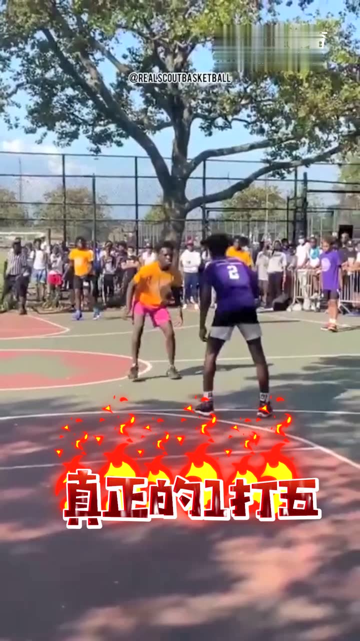  真正的1打五)