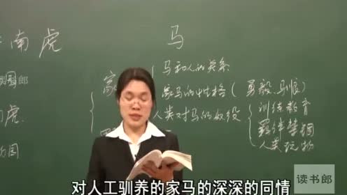 七年级语文下册28 华南虎(牛汉)