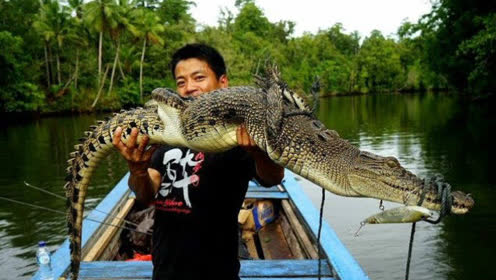 钓鱼:路亚大师龚磊钓鳄鱼