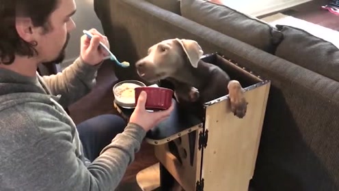 猫巨食道症 腾讯视频