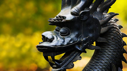 考古专家在千年古墓中发现了龙, 吓得专家们不淡定了!