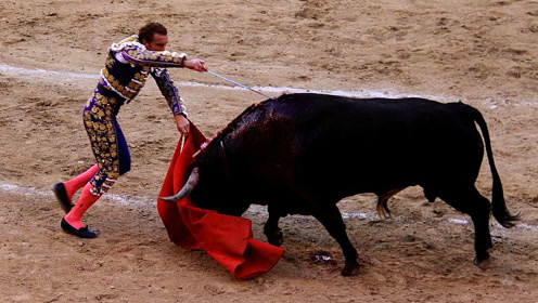 西班牙斗牛,斗牛士用剑刺向牛背,结果却被牛顶断了!