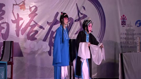 崔兰田大师关门弟子 安阳兰馨豫剧团团长张晓霞《三娘教子》