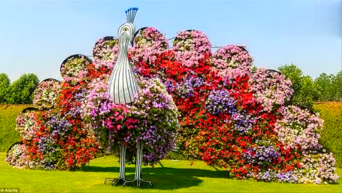 Resultado de imagem para ä¸çä¸æç¾éºçè±å