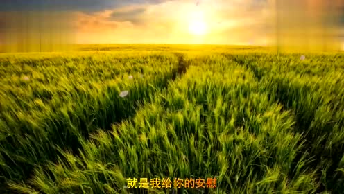 千月兔 腾讯视频