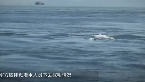 外星人基地在海底？科学家：多次证实海面出现UFO！ - 外星人UFO真相_说飞碟探索ET外星人_揭秘不明飞行物之谜的网站