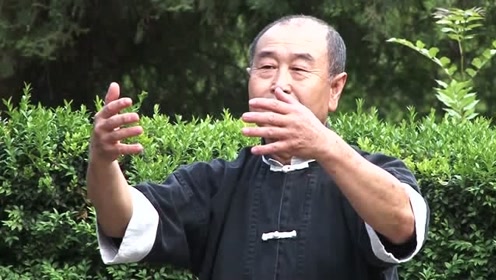 公园里的大成拳高手,一招一式很有范