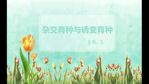 高中生物必修二《遗传与进化》6.1 杂交育种与诱变育种