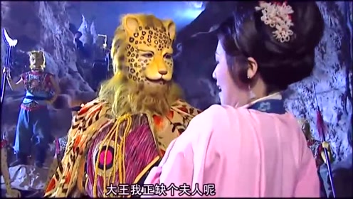 腾讯视频