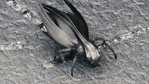 电影:外星人用纳米虫入侵地球,不料虫子强到连导弹都打不死