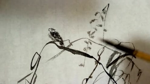 藤枝成子 腾讯视频