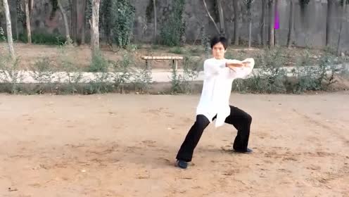 立身中正随屈就伸 腾讯视频