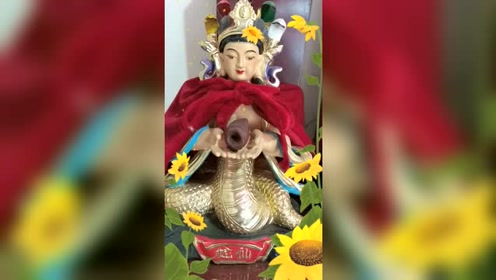 0:00:15蛇仙,蟒仙,黄仙时 间:2019-06-21上传者:神级抽奖