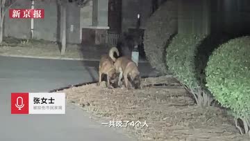 眉間硃砂红的个人频道