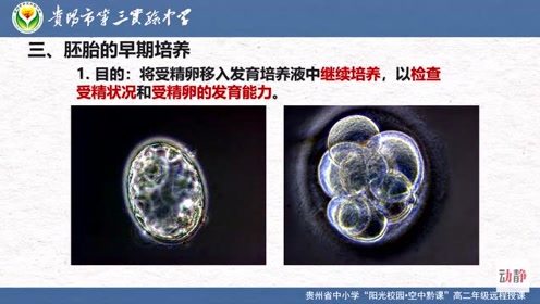 腾讯视频