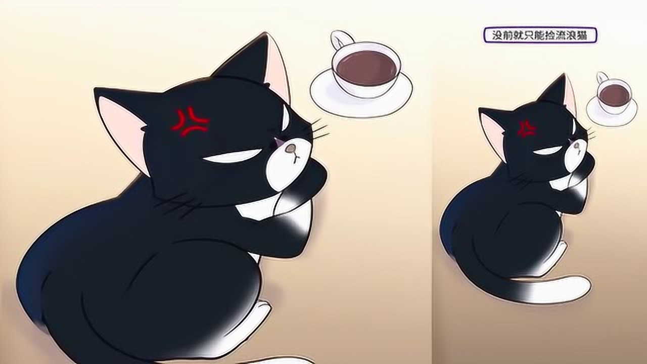 《猫总白一航》在家无聊逗猫,这是梦吗?