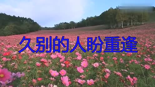 经典老歌《久别的人盼重逢》,这深情的演唱太好听了,送给趣友们