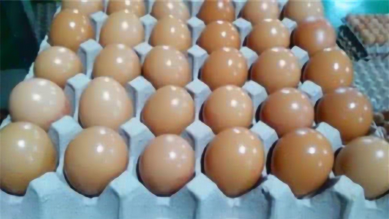 "人造鸡蛋"大量流入市场,它如何制作出来的呢?看完立马告诉家人!