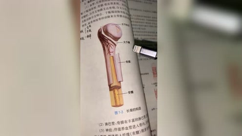 骨的构造 腾讯视频