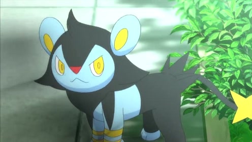 《精灵宝可梦》勒克猫最后出现在希特隆的面前,希特隆很感动!