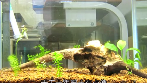 腾讯视频
