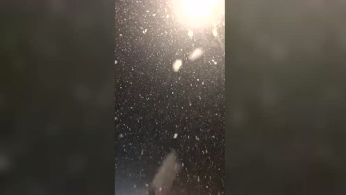 二年级音乐上册 第六单元 下雪了