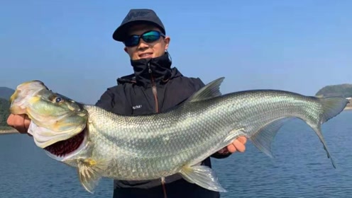 介:向往的钓鱼生活上传者:ewe路亚时 间:2020-01-16ewe路亚杨博和黄