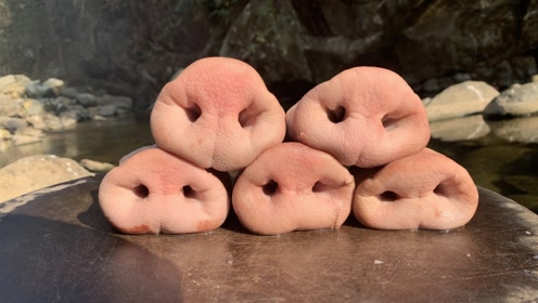 80块钱买来5个猪鼻子,大铁锅炖上3小时,5分钟被干完,真过瘾