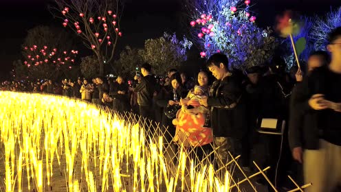 新年花市 腾讯视频